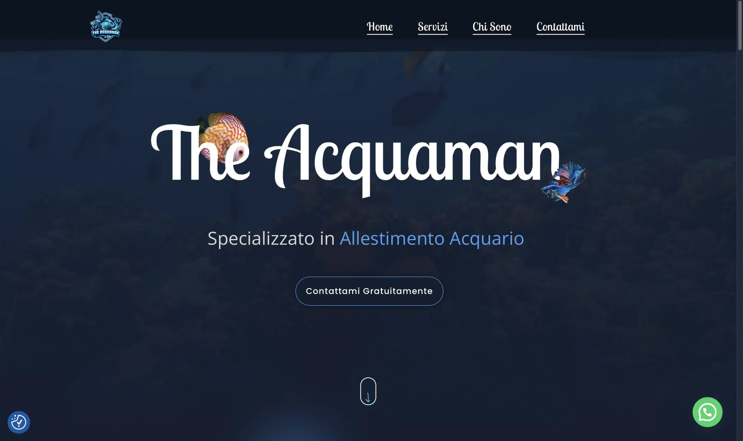 TheAcquaman